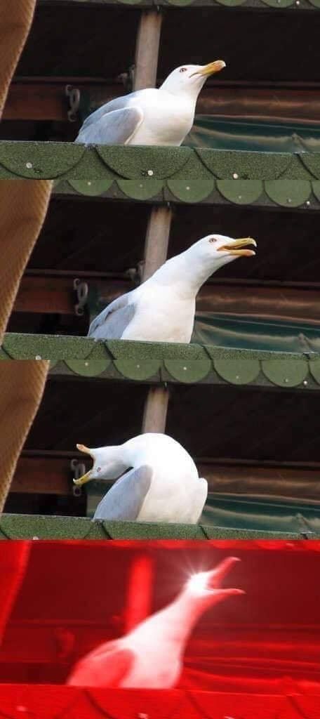b95bbbfbb0dca4da8ada5db02987f25f.jpg